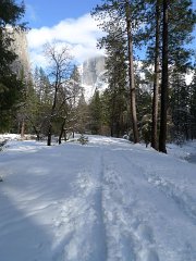Yosemite_Valley (49)